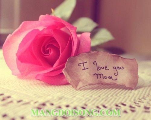 Những lời chúc hay ý nghĩa nhất dành tặng cho cha mẹ trong mùa vu lan đầy cảm động 3