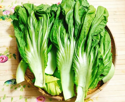 Cách làm dưa cải muối chua 1