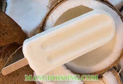 Cách làm kem sữa dừa ngon đơn giản tại nhà thơm bổ rẻ nhanh nhất 4