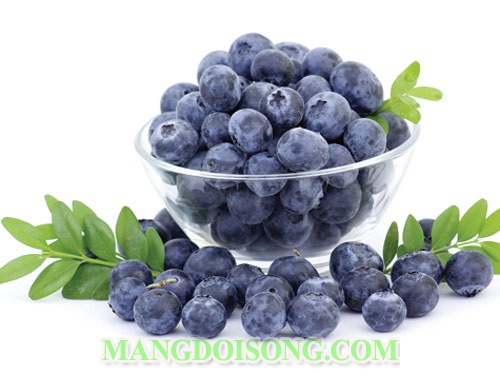 Cách làm soda việt quất ngon như mua trong nhà hàng đơn giản tại nhà 1
