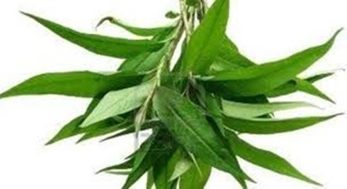 Cách làm món trứng cút lộn xào me chua chua, ngọt ngọt ngon hết chỗ chê 3
