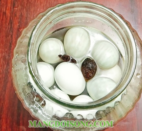 Cách làm trứng muối 5