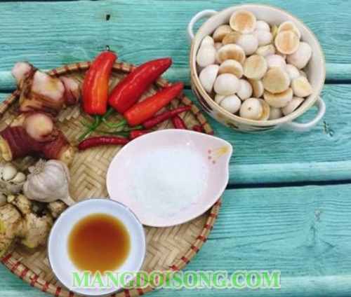 Cách muối cà pháo giòn ngon chua ngọt cay kiểu huế đơn giản tại nhà 1