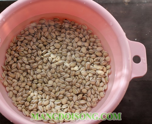 Cách nấu chè đậu ván ngon không bị nát cho kỳ nghĩ lễ 30/4-1/5 2