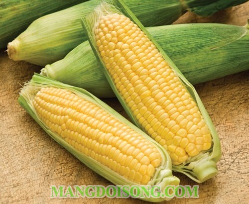 Cách nấu chè ngô ngọt ngon thơm lừng mát ruột cho những ngày hè 1