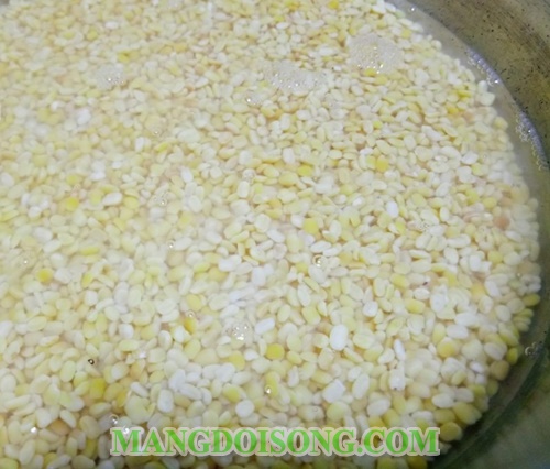 Cách nấu chè ngô ngọt ngon thơm lừng mát ruột cho những ngày hè 2