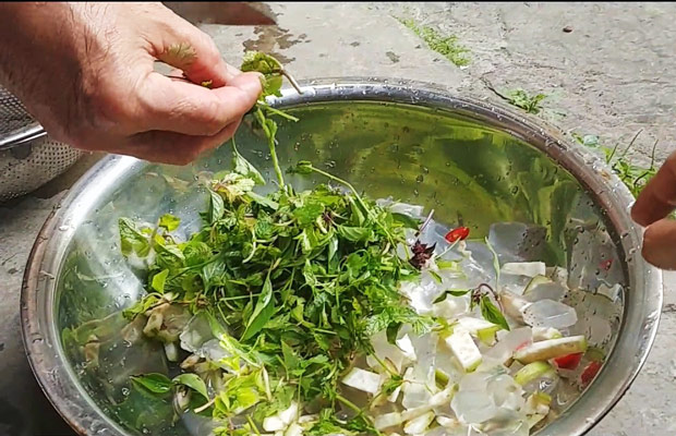 Cách chế biến sứa tươi đơn giản an toàn tại nhà 7