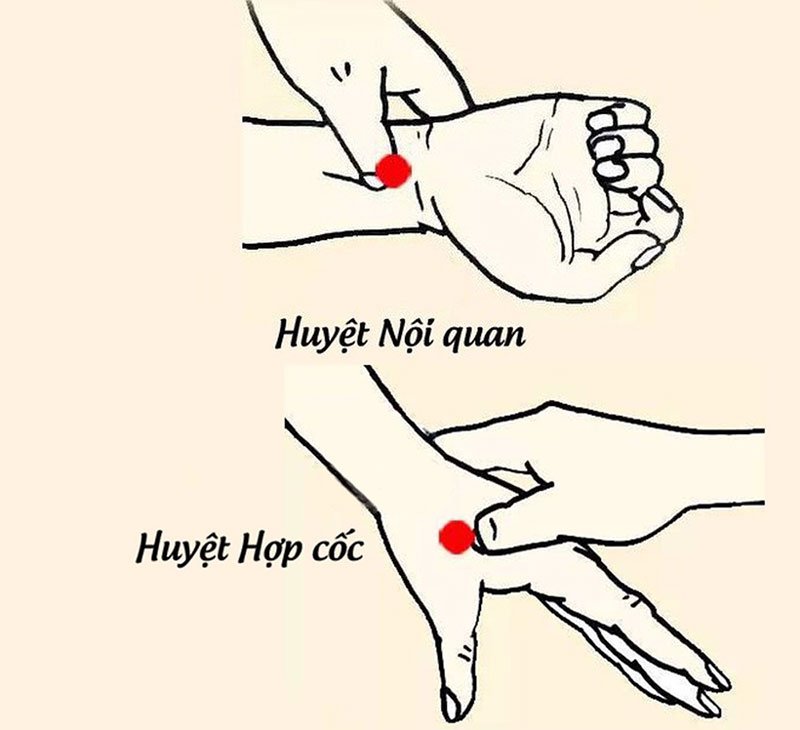 Cách chống say xe cho trẻ em hiệu quả nhất 9