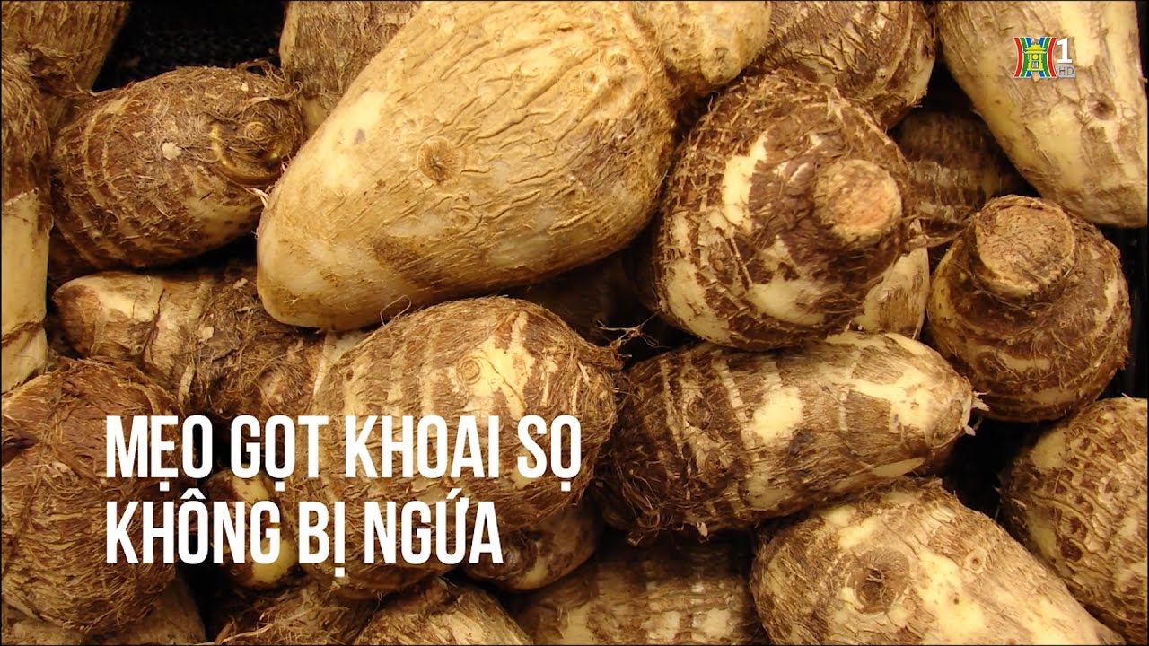 Cách gọt khoai sọ không bị ngứa đơn giản nhất 1
