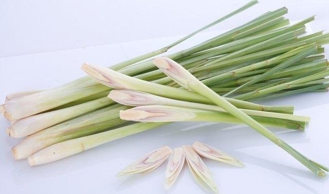 Cách luộc lòng bò nhanh mềm mà vẫn giòn ngọt nhất 2