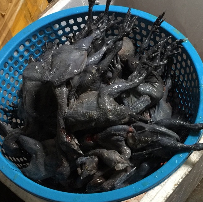Cách nấu gà hầm thuốc bắc hạt sen thơm ngon bổ dưỡng 4