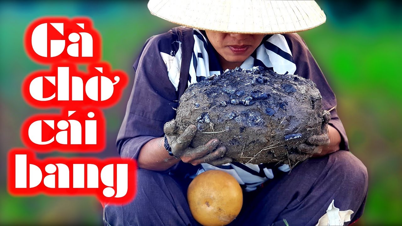 cach-lam-ga-an-may-ngon-chuan-ngoai-hang-1