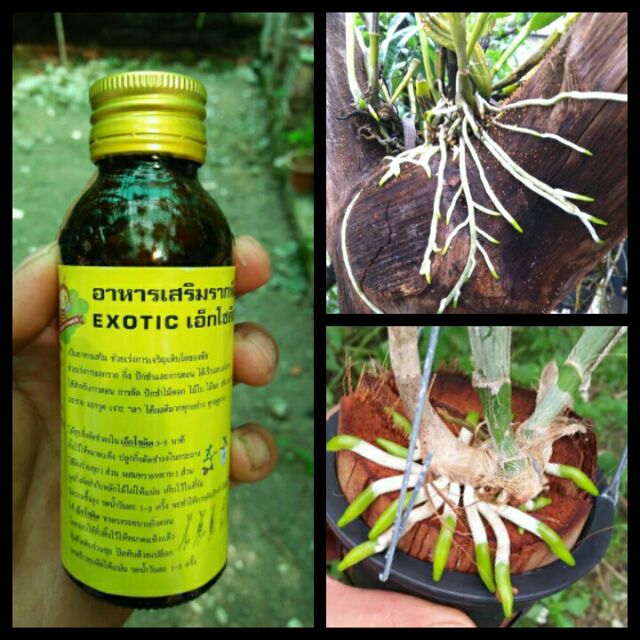 cach-su-dung-thuoc-kich-re-1