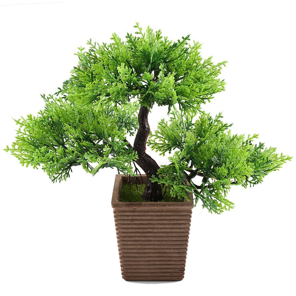 cay-bonsai-de-trong-7