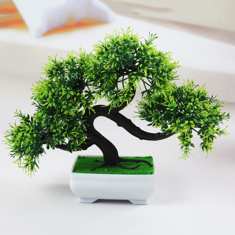 cay-bonsai-trong-trong-nha-3