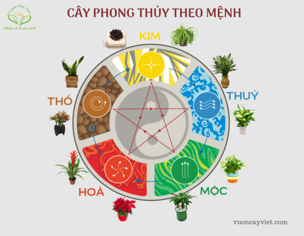 cay-phong-thuy-theo-menh-1