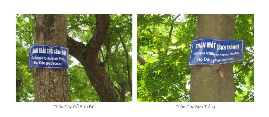 sua-do-va-sua-trang-3