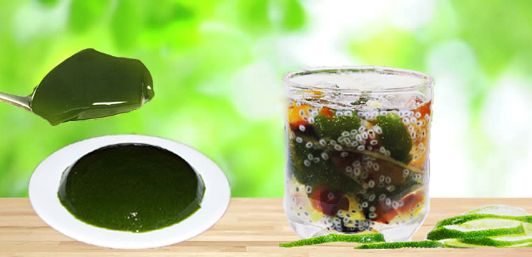 chia-se-cach-lam-suong-sam-bang-may-xay-sinh-to-don-gian-nhat-1